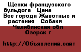 Щенки французского бульдога › Цена ­ 30 000 - Все города Животные и растения » Собаки   . Челябинская обл.,Озерск г.